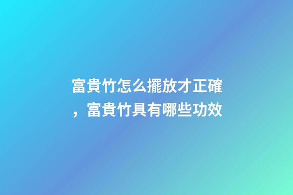 富貴竹怎么擺放才正確，富貴竹具有哪些功效